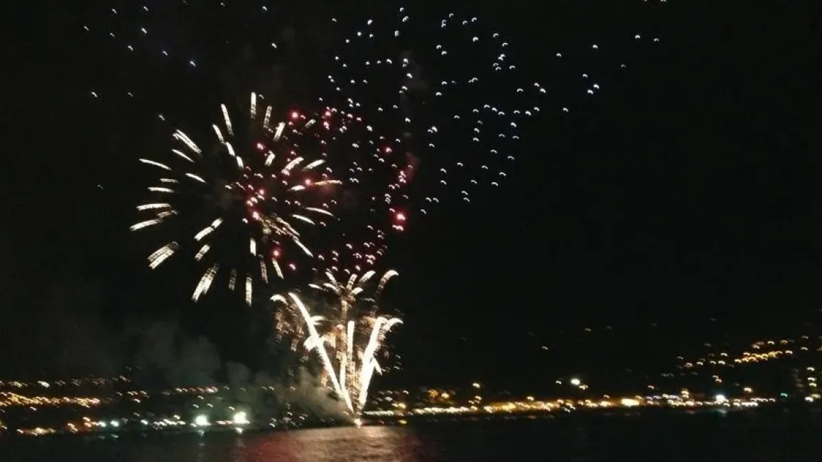 fireworks in the sky