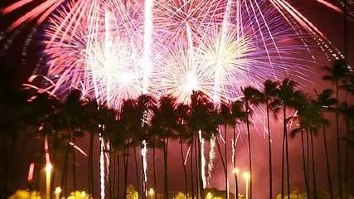 fireworks in the sky