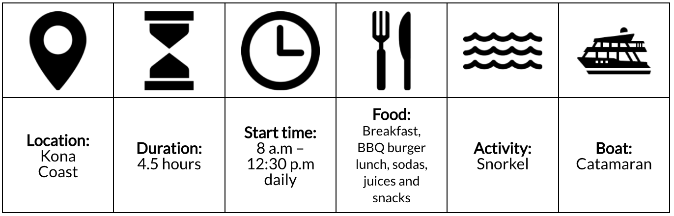 Snorkel and Dolphin Watch