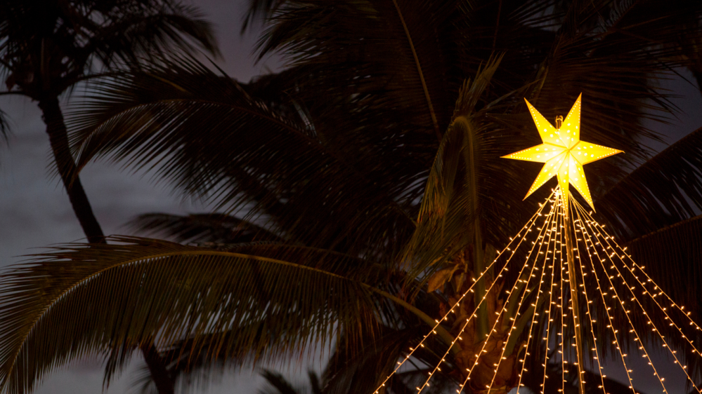 Lit star and string lights on palm tree at night.