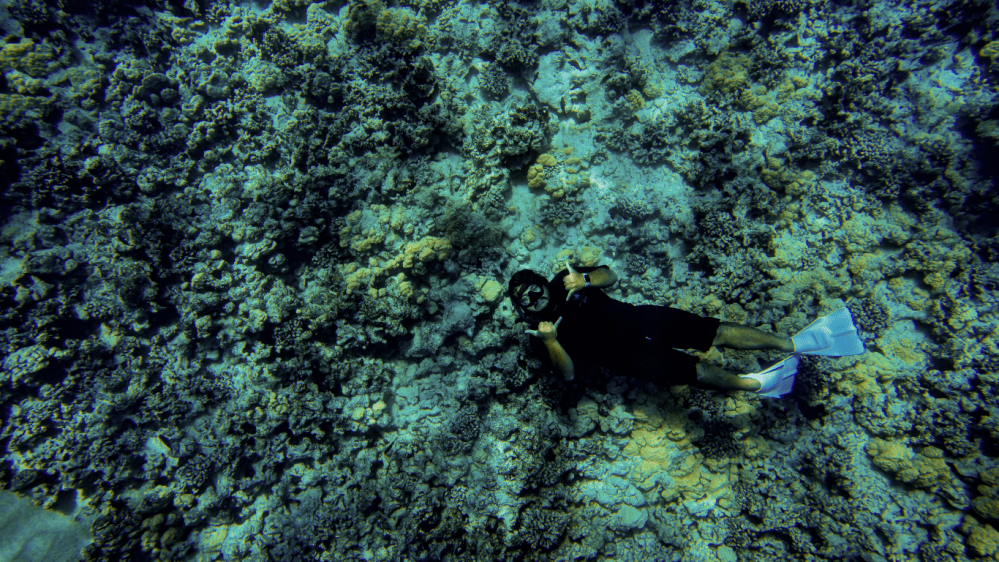 Person underwater snorkeling over colorful coral reef, wearing a mask and fins, holding up shakas