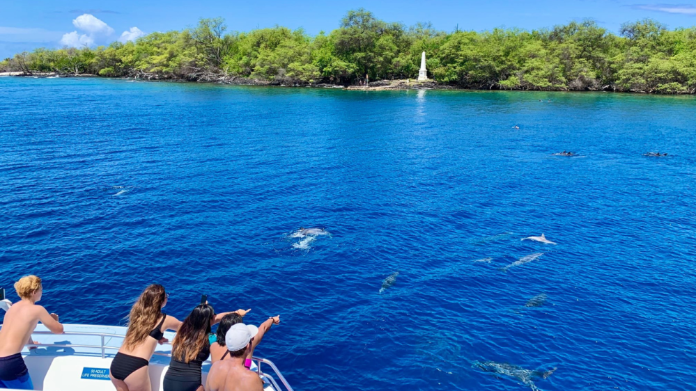 People on a boat watching dolphins swim in hawaii