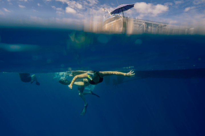 Someone snorkeling on Body Glove