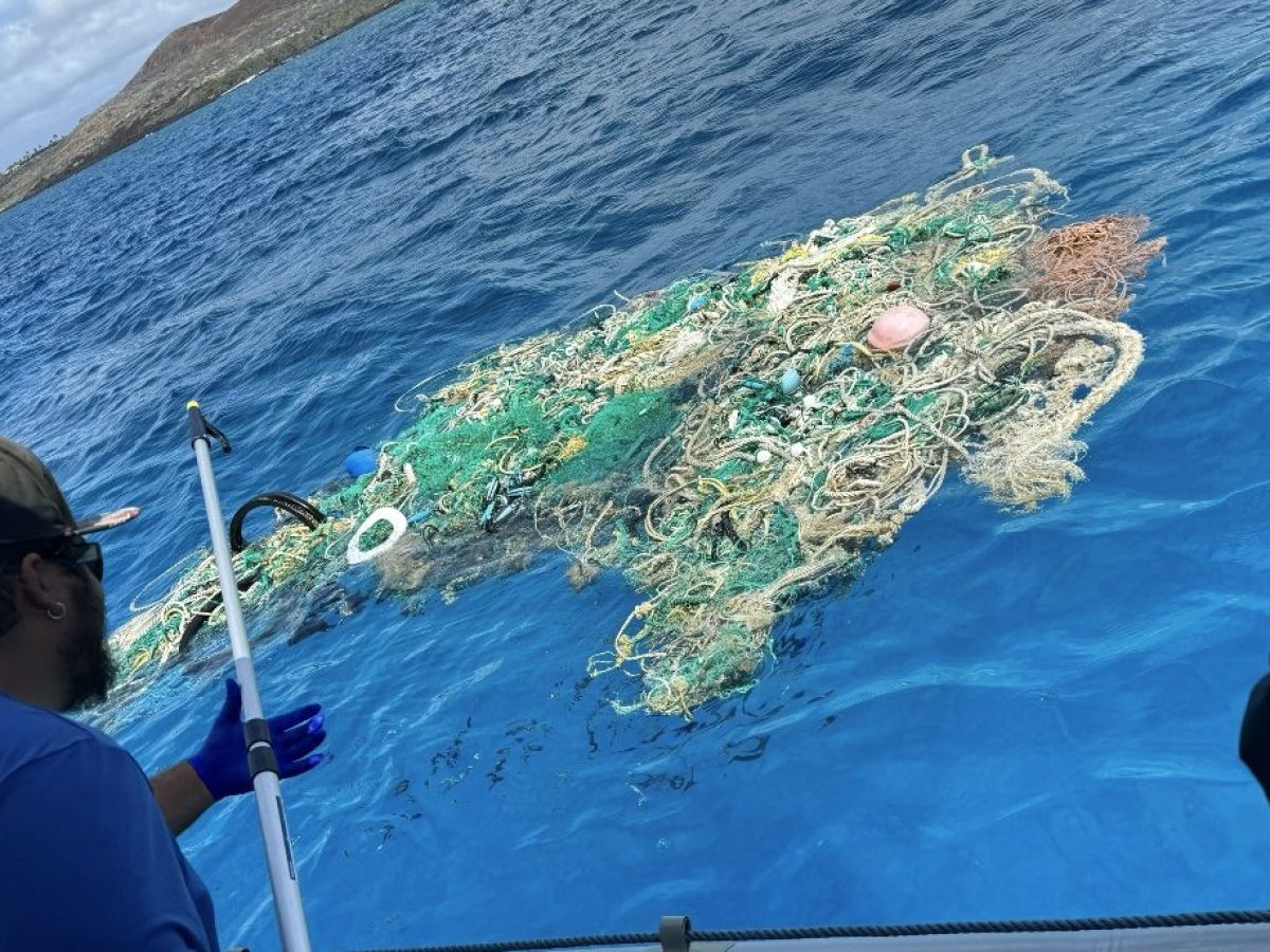 a person standing pulling trash out of the ocean