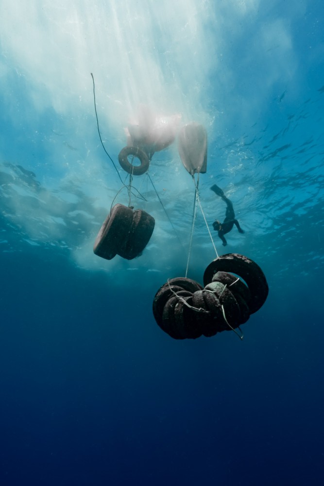 tires removed from the ocean
