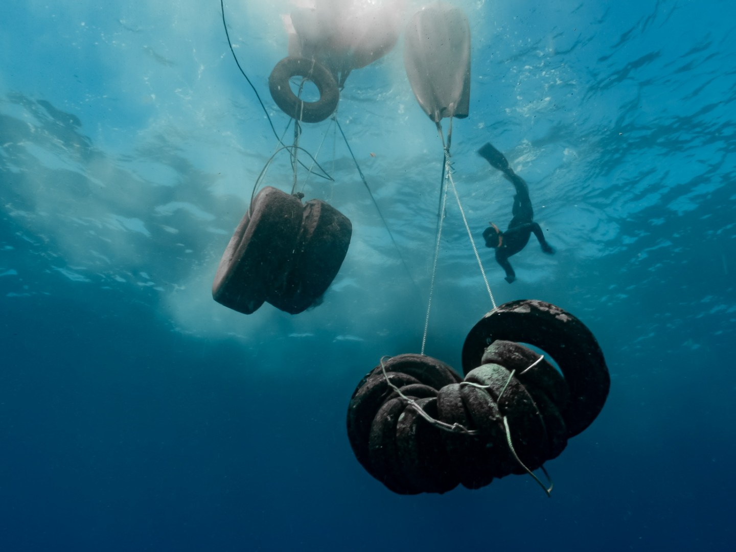 tires removed from the ocean