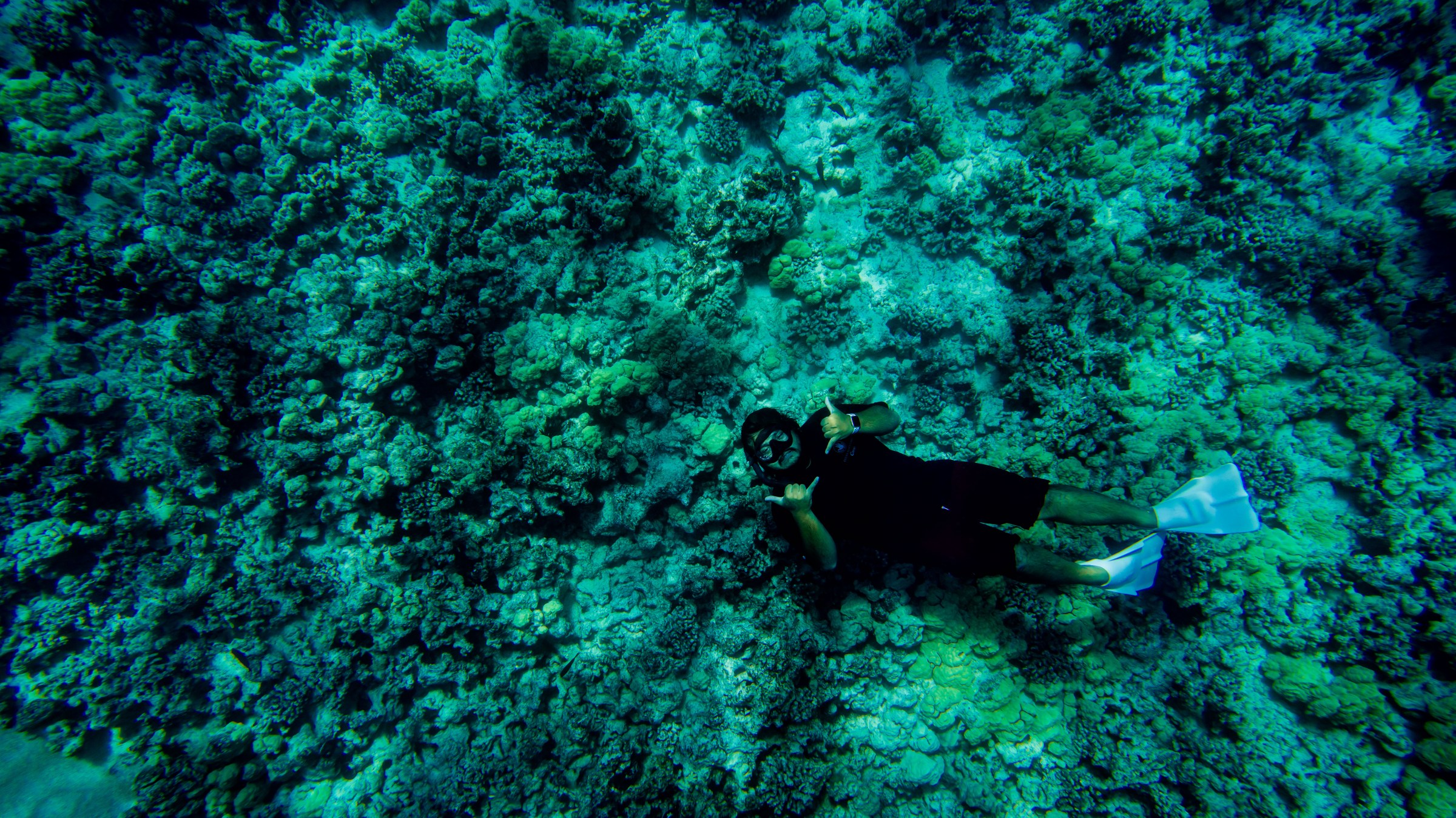 someone snorkeling over the reef