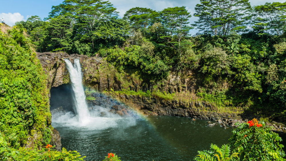 a waterfall in hilo hawaii