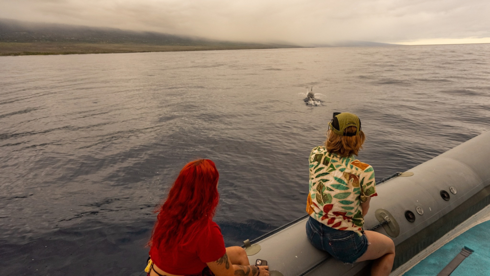 Two people on a boat, one with red hair, watching a dolphin in the ocean.